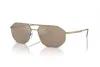 Zonnebril Emporio Armani EA 2147 (30025A)